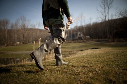 Фото - Майкл Пауэр: 500x333 / 36 Кб