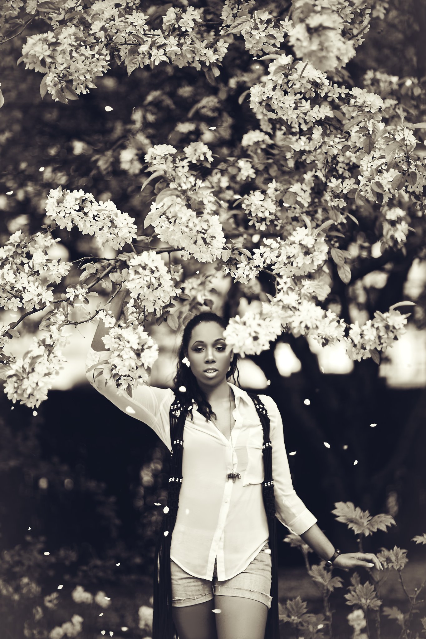 Фото - Эшли-Лорен Элрод: 1365x2048 / 492 Кб