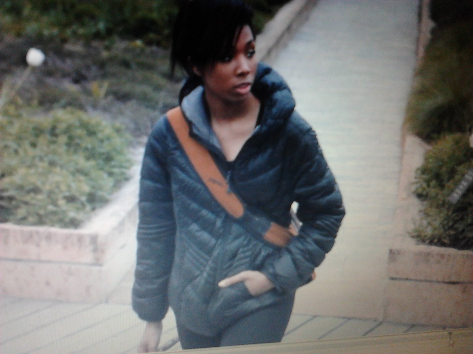 Фото - Эшли-Лорен Элрод: 1536x1152 / 183 Кб