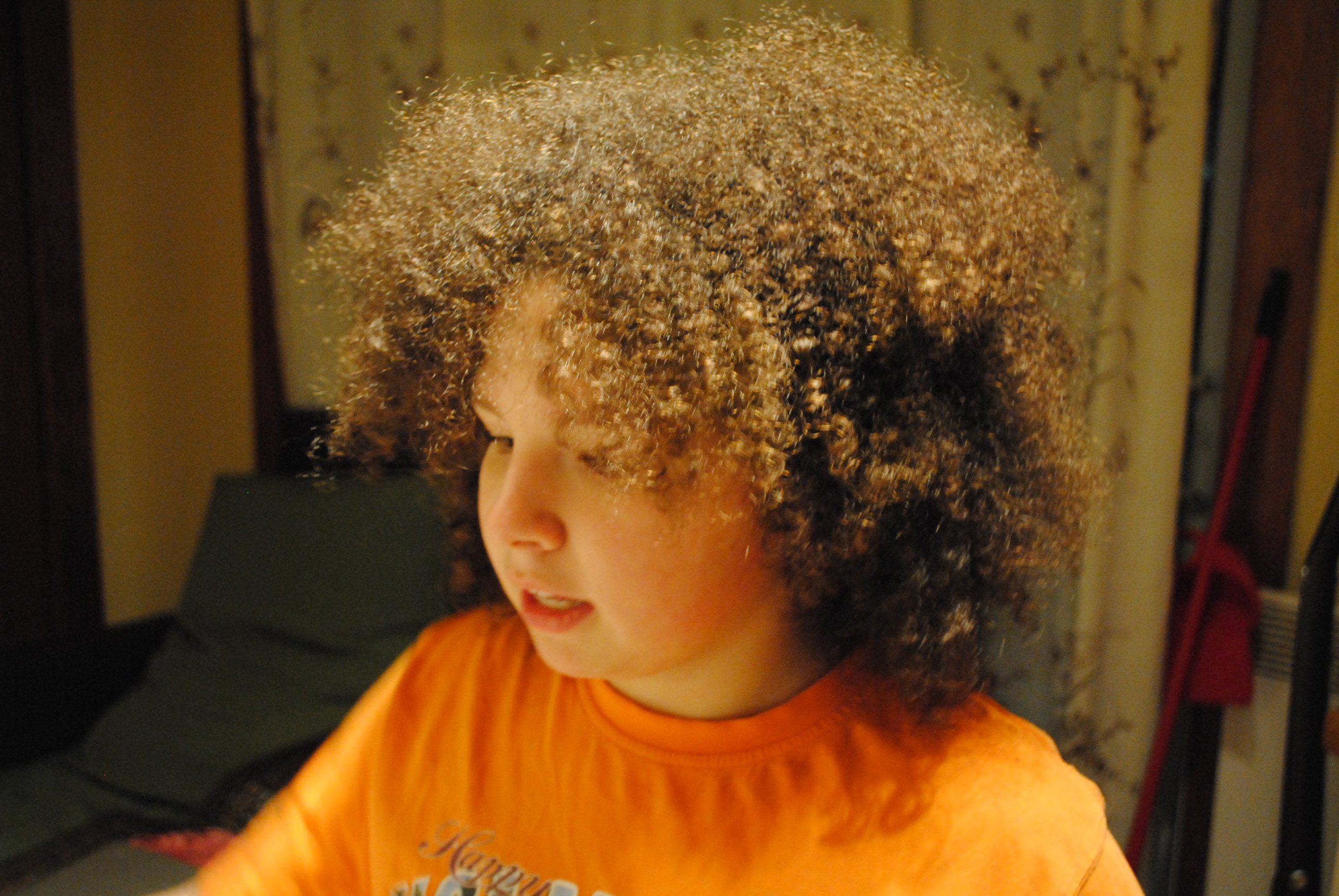 Фото - Вероника Ребизов: 2592x1735 / 587 Кб