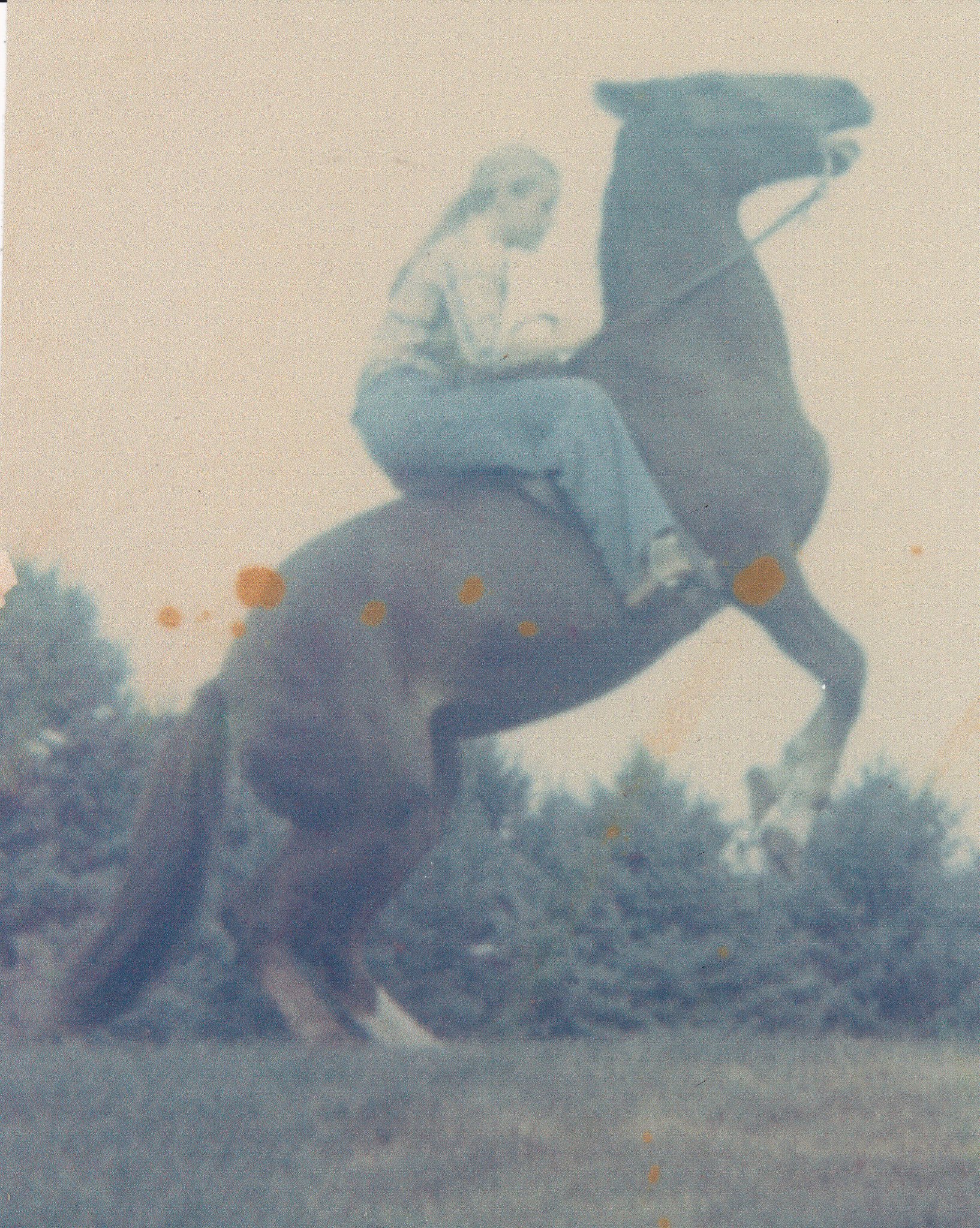 Фото - Нэнси Янгблат: 1634x2048 / 1198 Кб