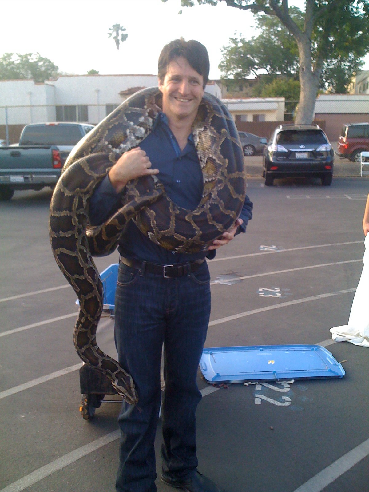 Фото - Пол Энтони Скотт: 1200x1600 / 281 Кб