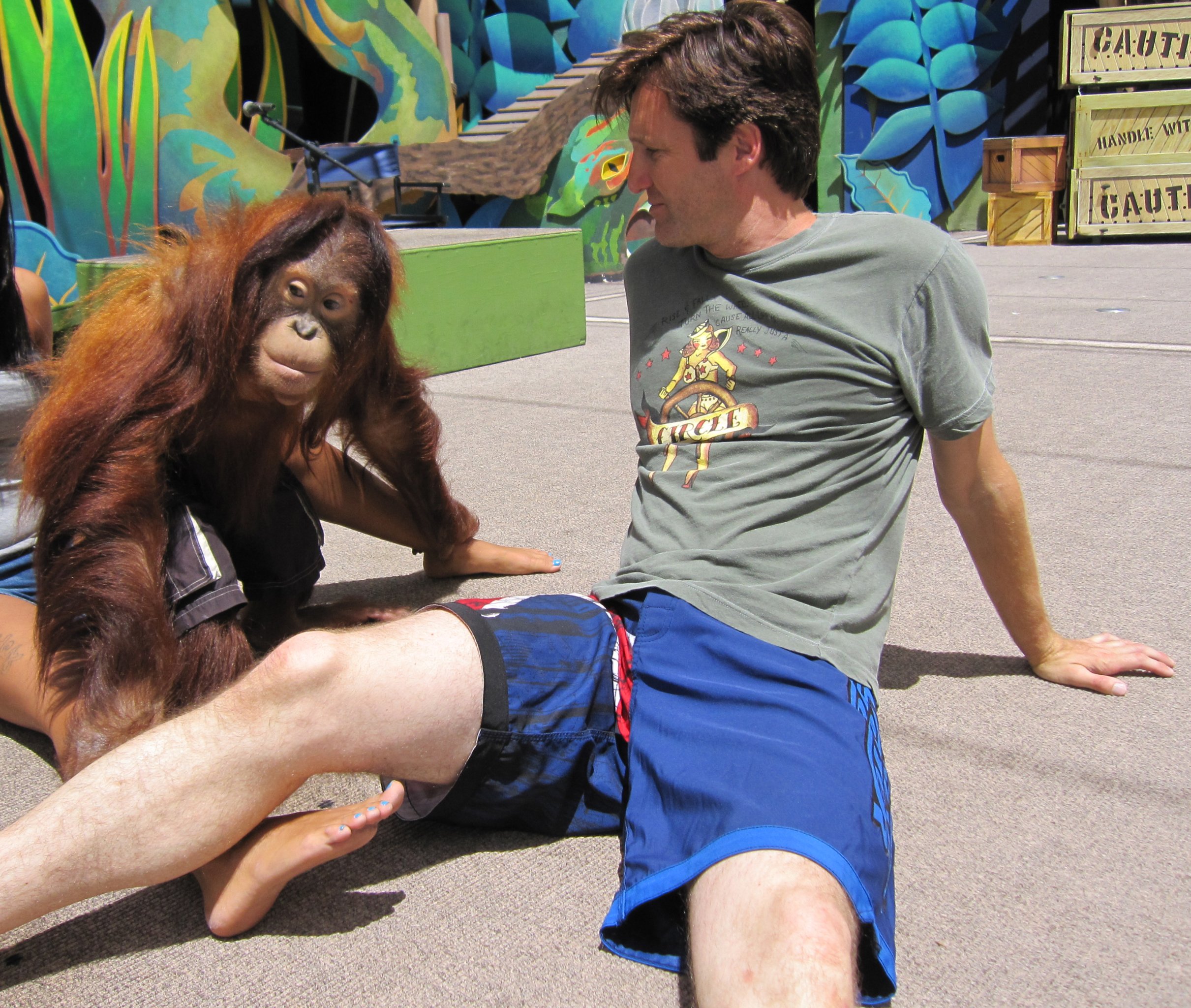 Фото - Пол Энтони Скотт: 2421x2048 / 896 Кб