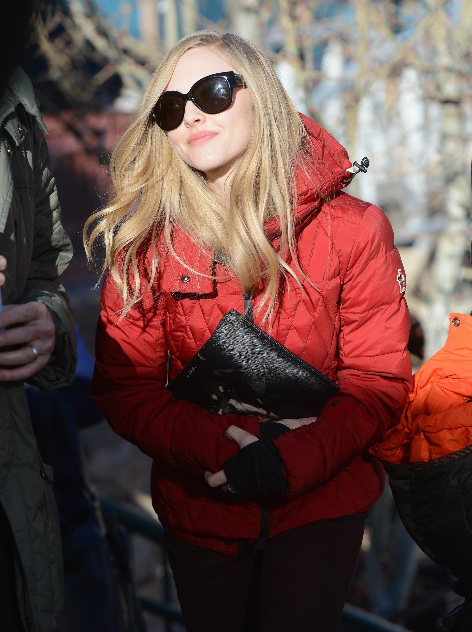 Фото - Аманда Сайфред: 1532x2048 / 437 Кб