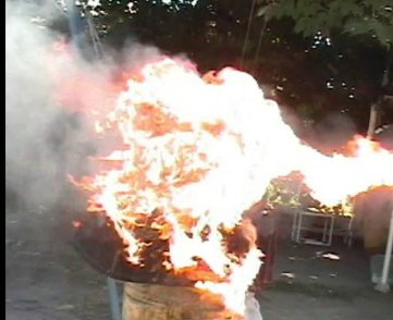 Фото - Омид Задер: 361x294 / 22 Кб