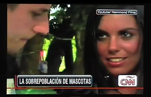 Фото - Ноа Линдберг: 623x402 / 36 Кб