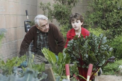 Фото - Филип Бейкер Холл: 427x285 / 37 Кб