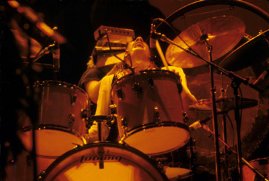 Фото - Мик Флитвуд: 269x181 / 14 Кб