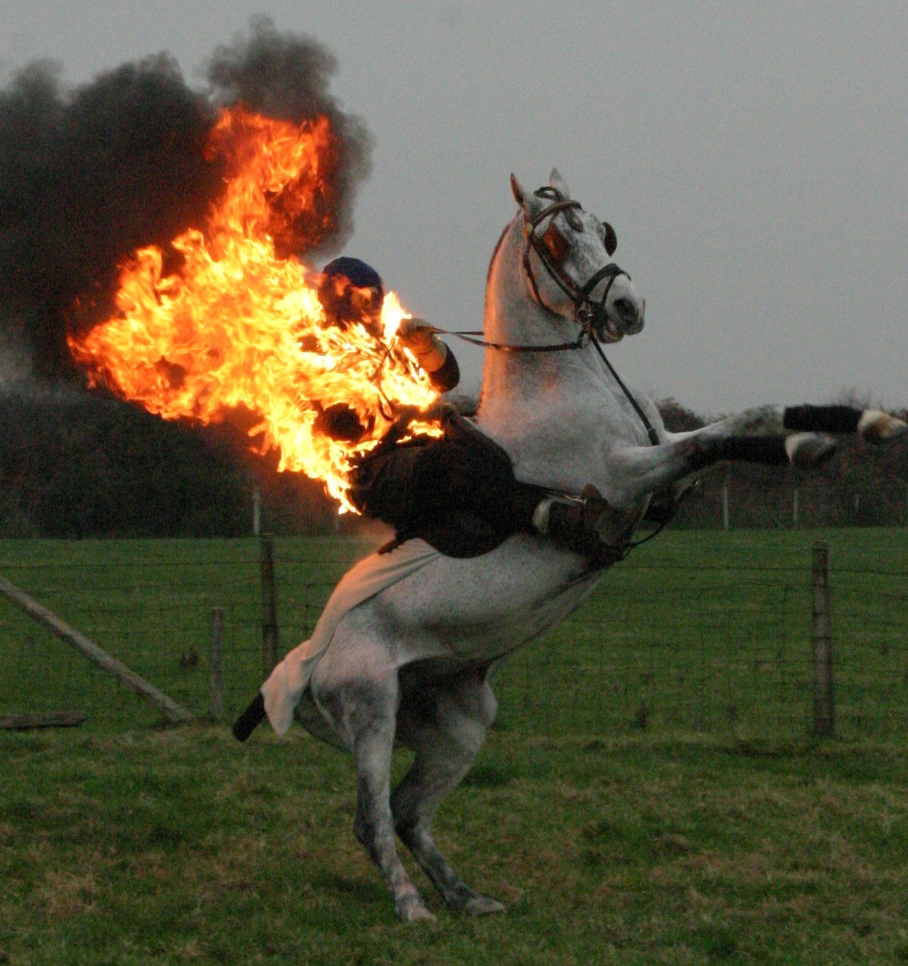 Фото - Ян ван Темперли: 1325x1409 / 356 Кб