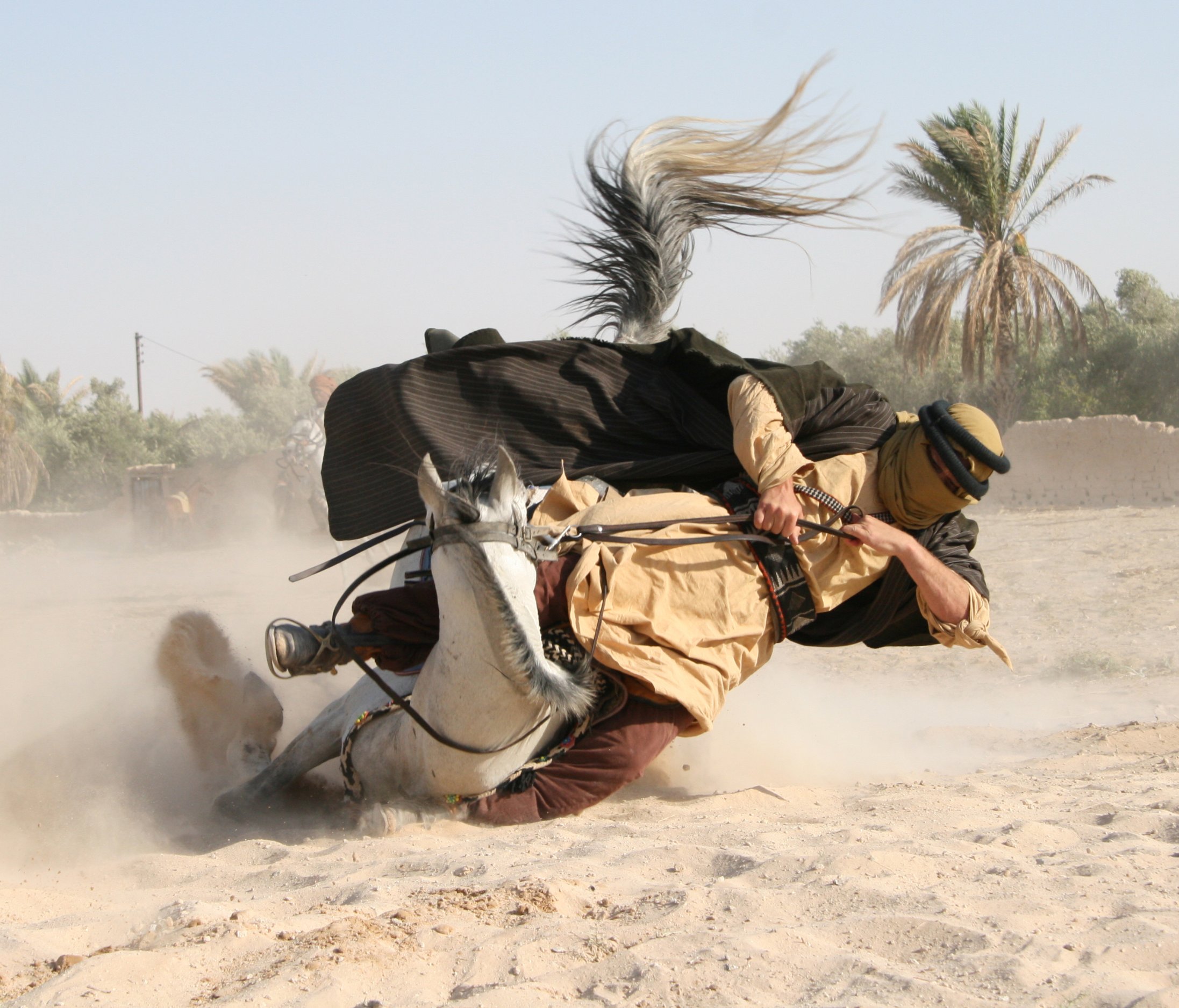 Фото - Ян ван Темперли: 2193x1875 / 500 Кб