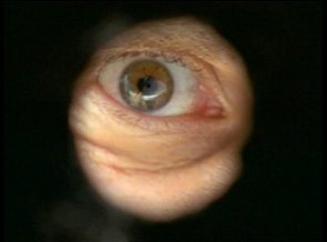 Фото - Дэвид Боллер: 295x218 / 8 Кб