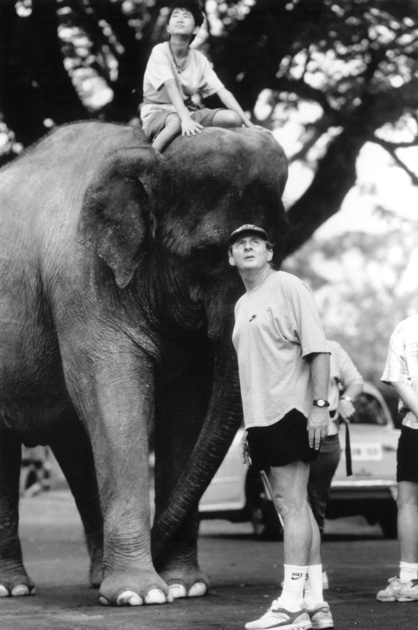 Фото - Саймон Уинсер: 1360x2048 / 350 Кб