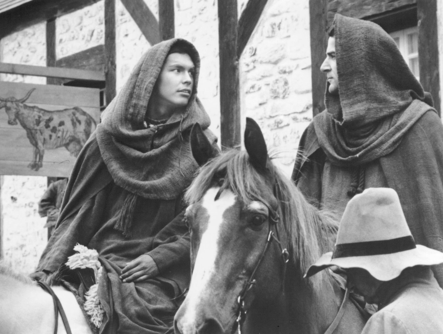 Фото - Мэнди Пэтинкин: 1544x1164 / 241 Кб