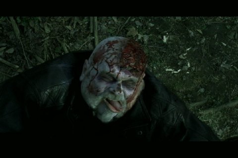 Фото - Логан Фрай: 480x320 / 24 Кб