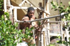 Фото - Тонгай Чириса: 239x159 / 16 Кб