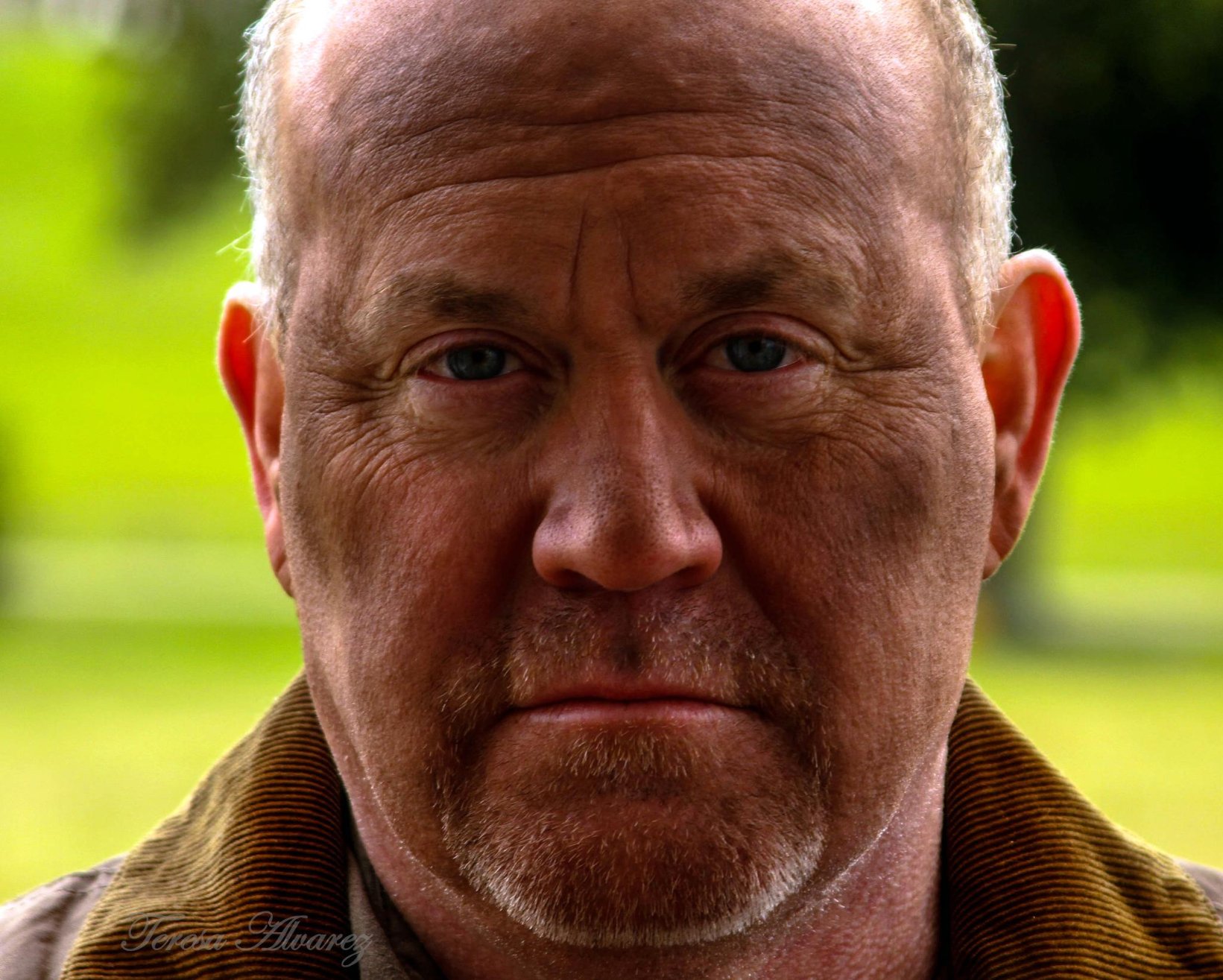 Фото - Чип Каррьере: 1641x1315 / 318 Кб