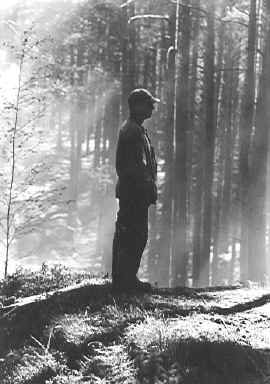 Фото - Брюс Уэйн Гиллис: 270x384 / 20 Кб