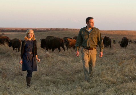 Фото - Рэйчел МакАдамс: 478x336 / 30 Кб