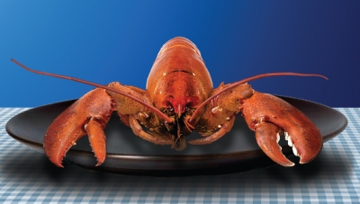 Фото - Герман Кох: 400x227 / 63.55 Кб