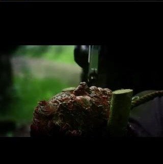 Фото - Пенни Джадд: 320x322 / 11 Кб