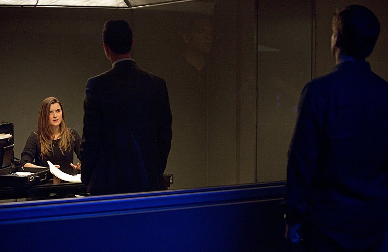 Фото - Коте де Пабло: 800x519 / 51 Кб