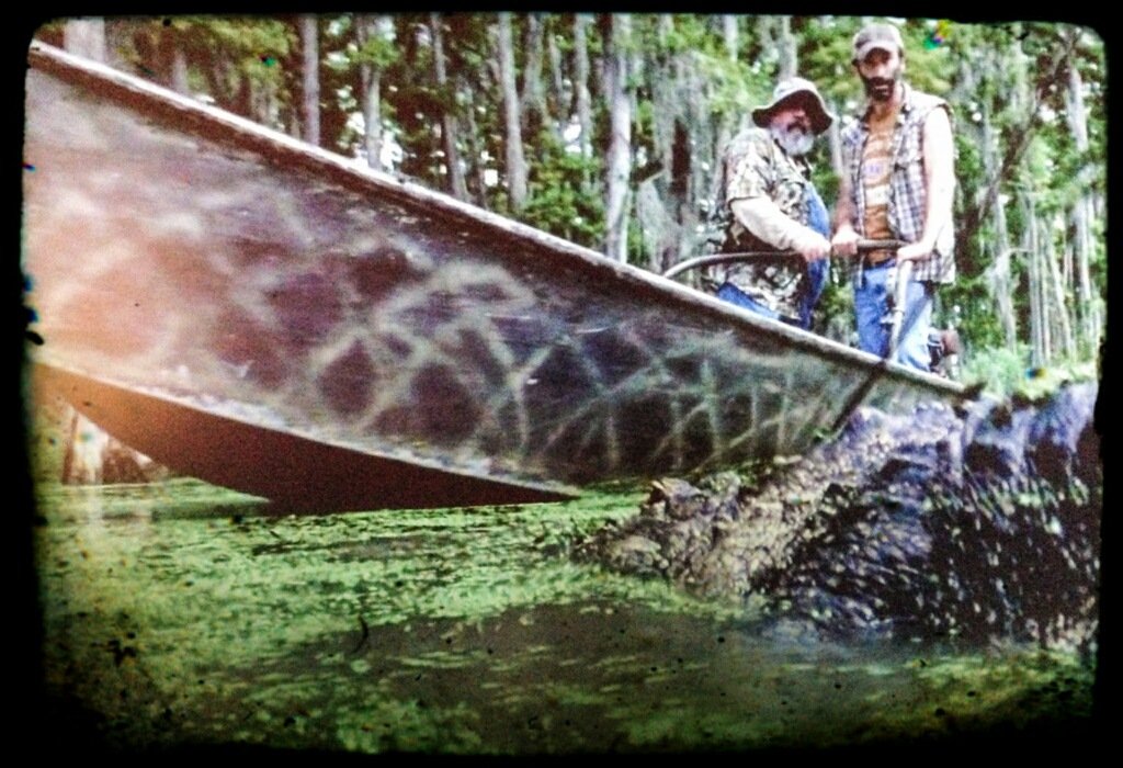 Фото - Мэтью Джеймс: 1024x700 / 161 Кб