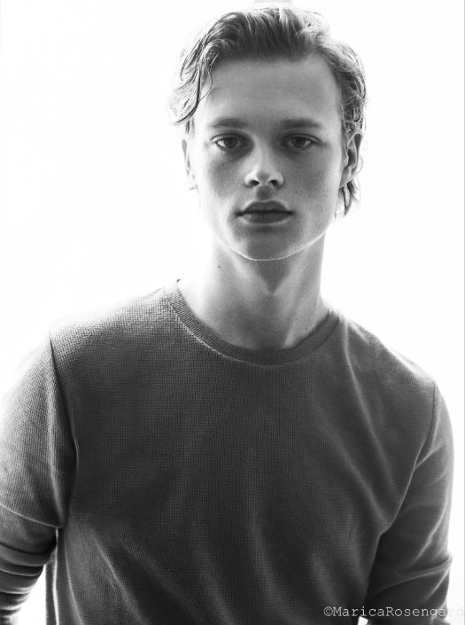 Фото - Эдвин Эндре: 525x705 / 50 Кб