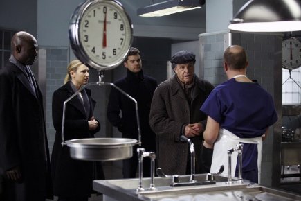 Фото - Джошуа Джексон: 435x290 / 27 Кб