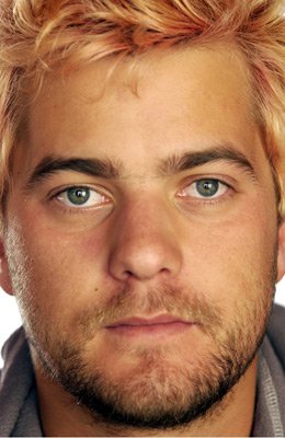 Фото - Джошуа Джексон: 260x400 / 26 Кб