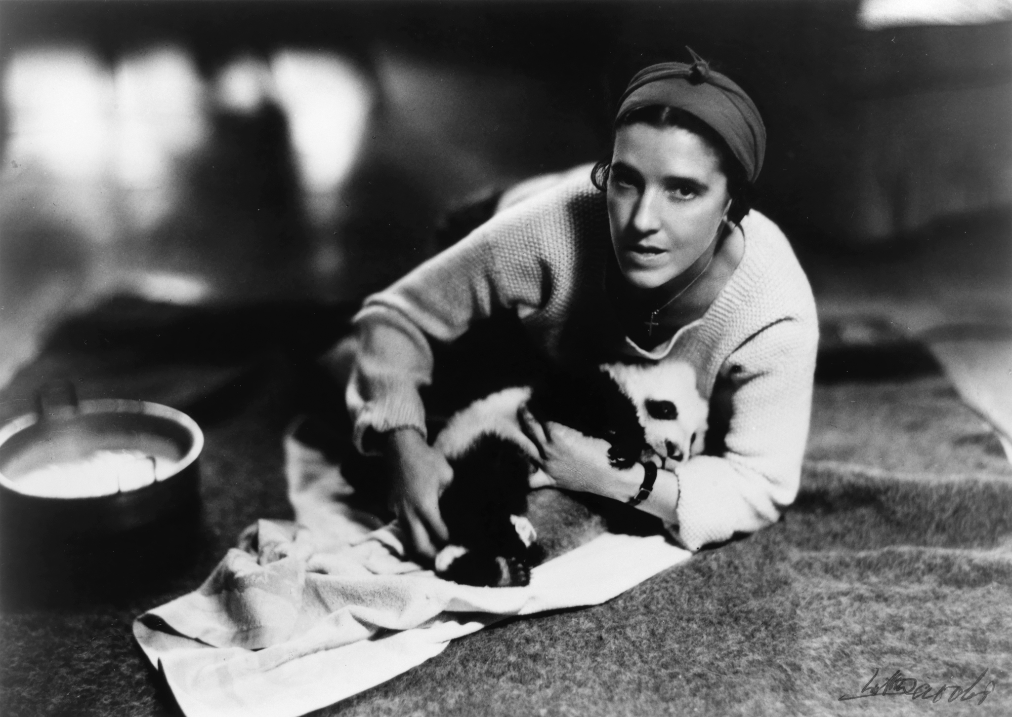 Фото - Рут Харкнесс: 2048x1453 / 1233.01 Кб