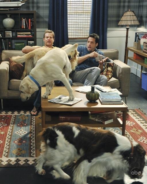 Фото - Джош Хопкинс: 512x640 / 78 Кб