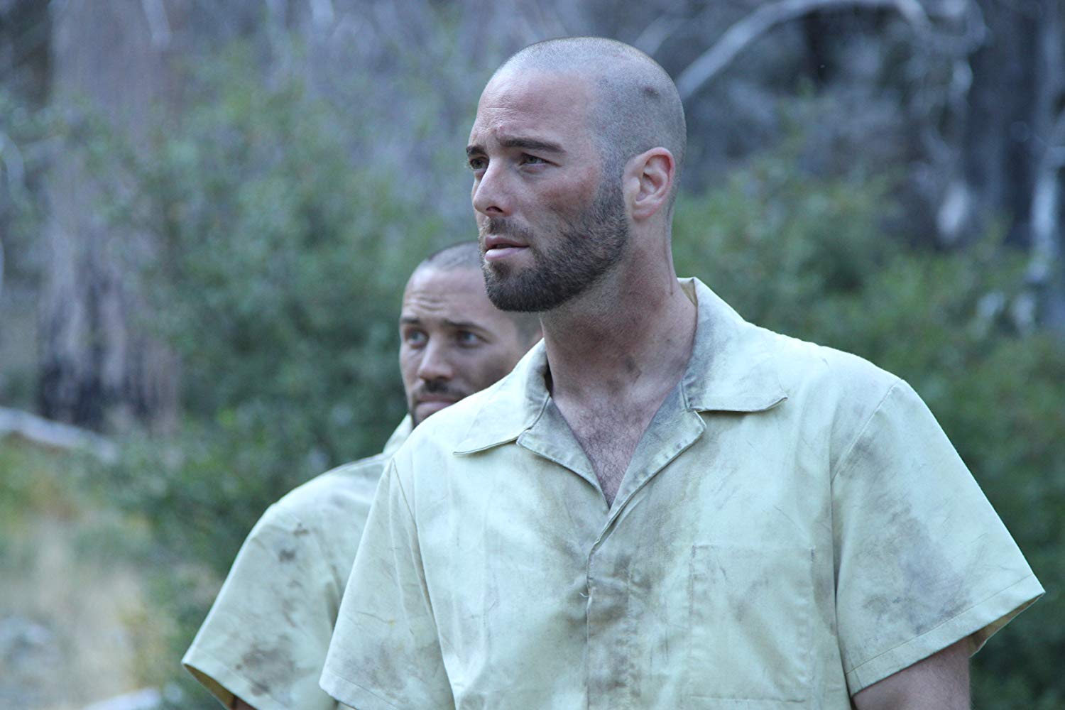 Фото - Тим Филдс: 1500x1000 / 112.76 Кб