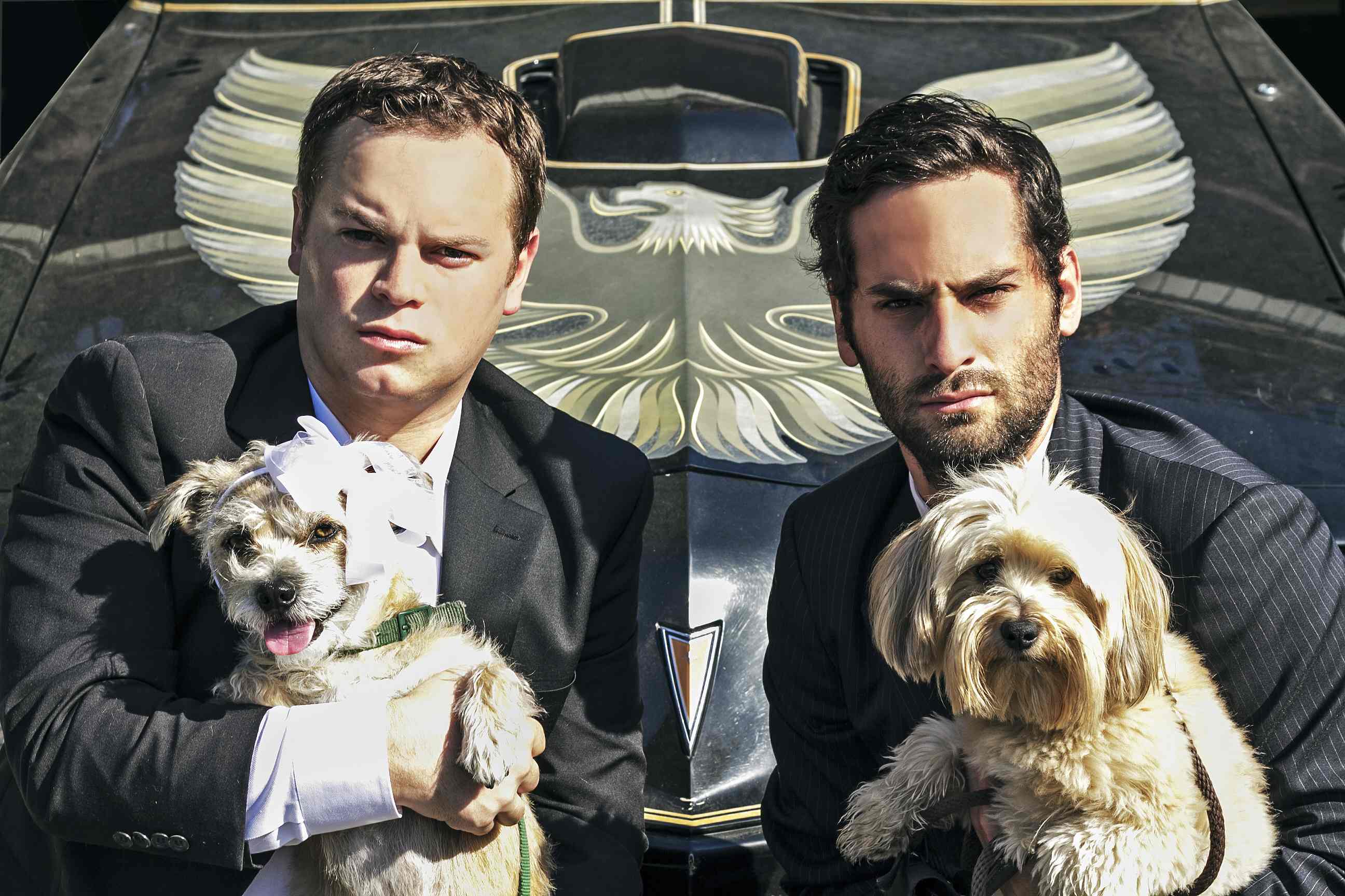 Фото - Дэниэл Грегор: 2592x1728 / 299.44 Кб