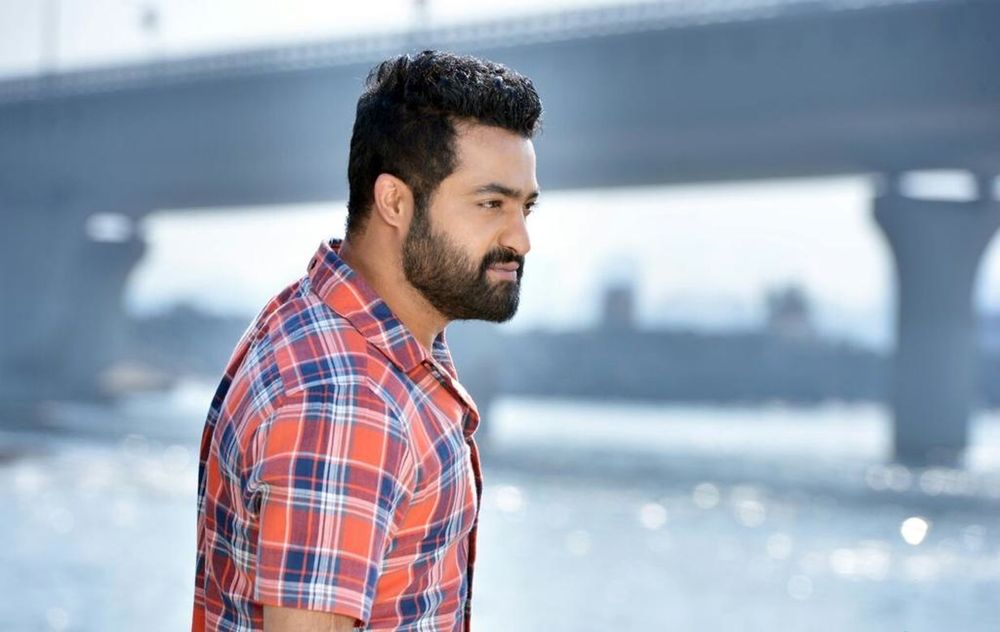 Фото - НТР мл.: 1000x632 / 62 Кб