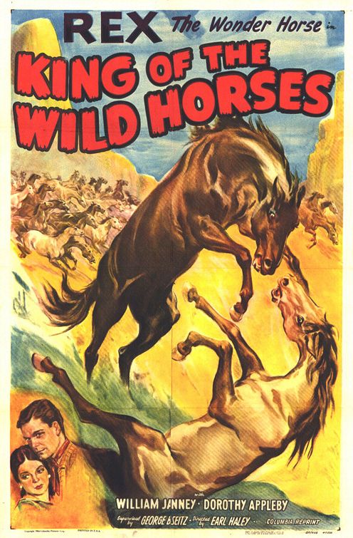 Постер - The King of the Wild Horses: 496x755 / 103 Кб