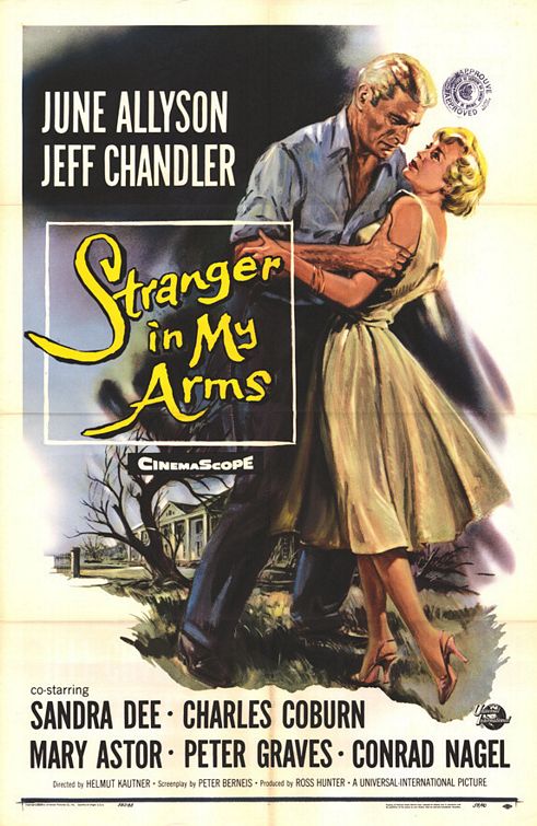 Постер - A Stranger in My Arms: 491x755 / 86 Кб