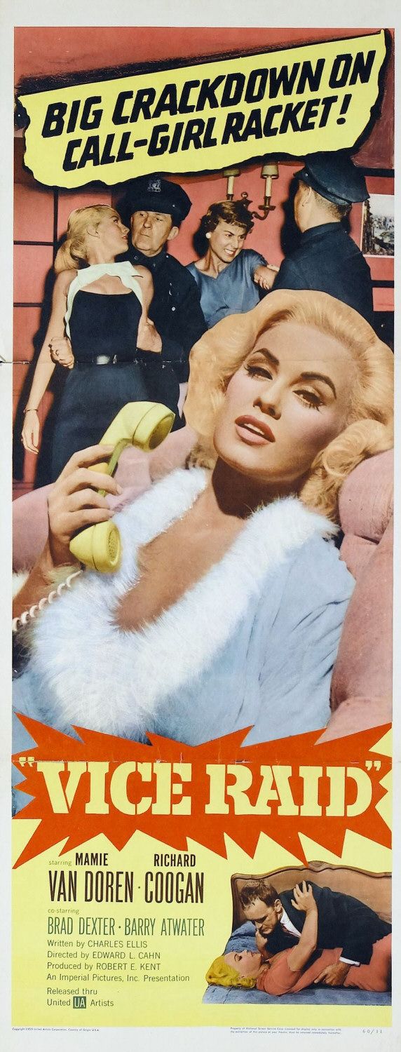 Постер - Vice Raid: 572x1500 / 177 Кб