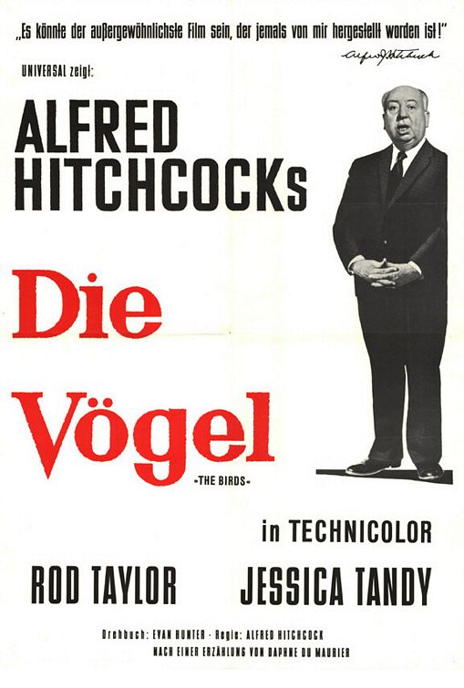 Постер - Птицы: 509x755 / 58 Кб