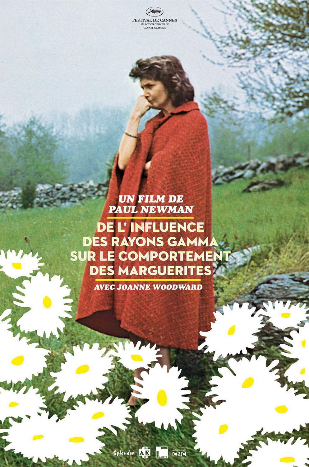 Постер - Влияние гамма-лучей на поведение маргариток: 994x1500 / 268 Кб