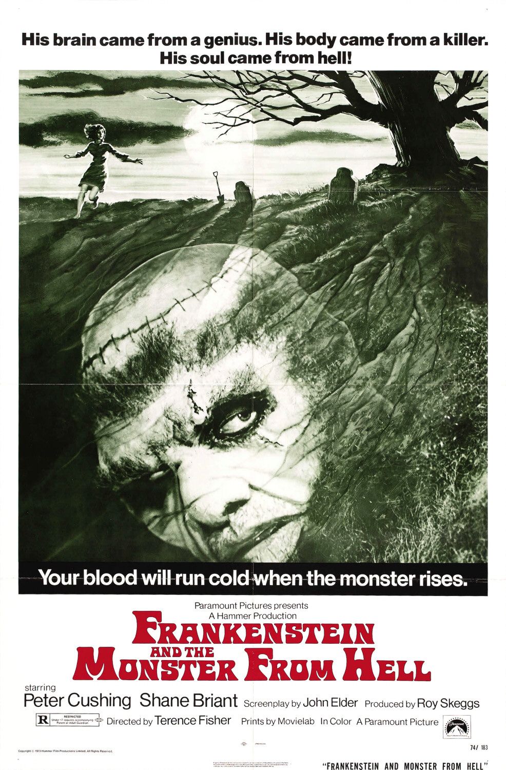 Постер - Франкенштейн и монстр из ада: 986x1500 / 324 Кб