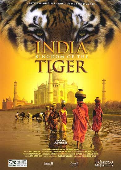 Постер - India: Kingdom of the Tiger: 392x550 / 55 Кб