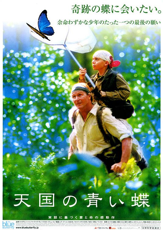 Постер - Голубая бабочка: 535x753 / 91 Кб