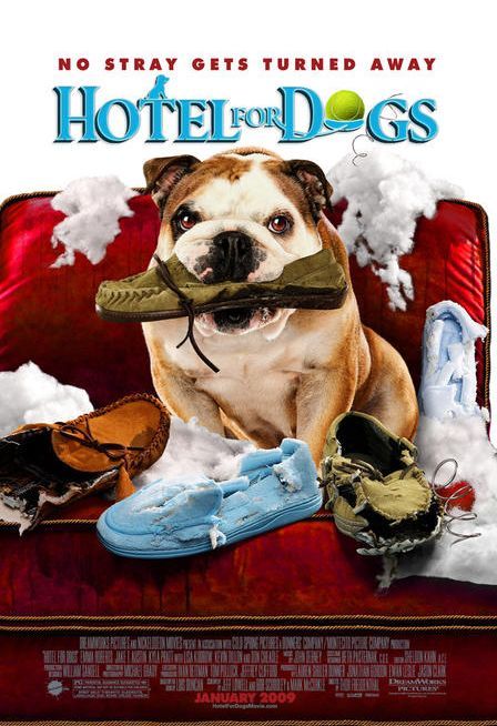 Постер - Отель для собак: 448x654 / 69 Кб
