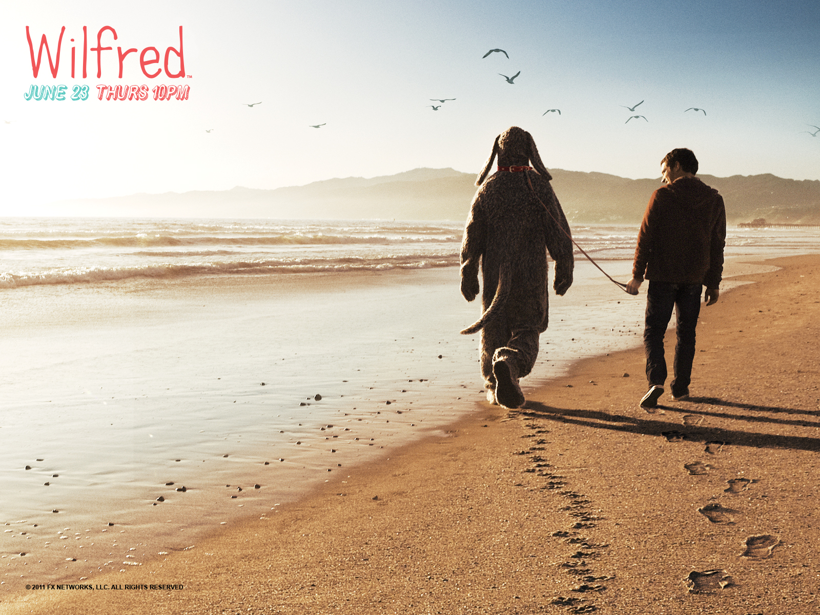 Постер - Уилфред: 1600x1200 / 1687.31 Кб