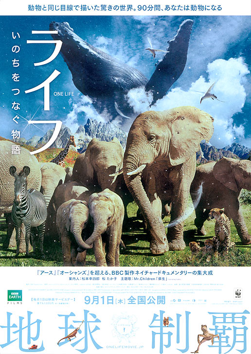 Постер - Жизнь: 516x728 / 135.85 Кб