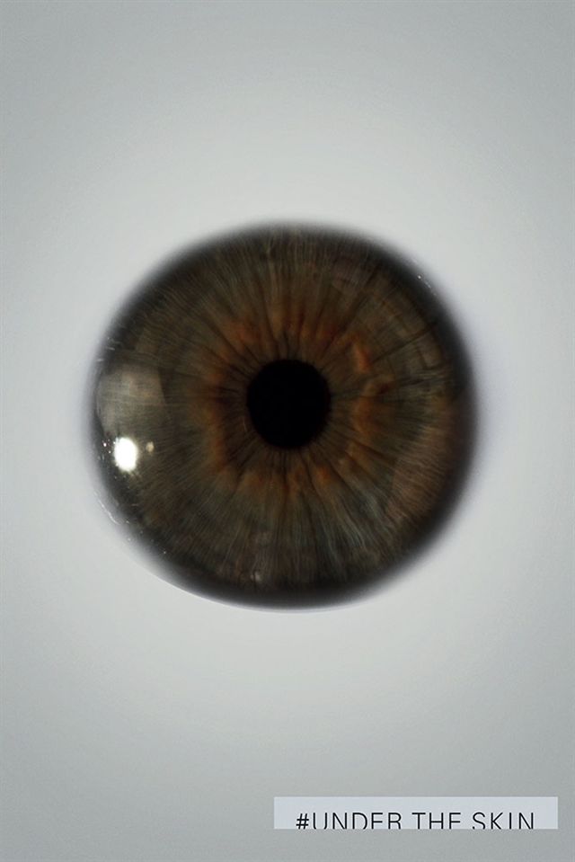 Постер - Побудь в моей шкуре: 640x959 / 39.61 Кб