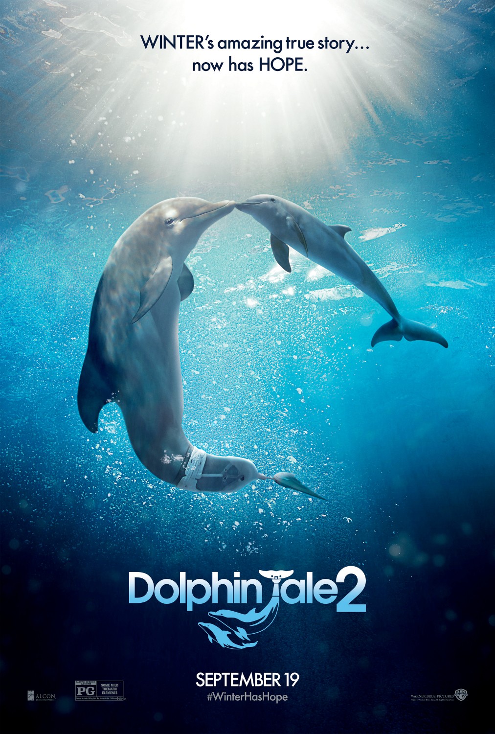 Постер - История дельфина 2: 1012x1500 / 395 Кб