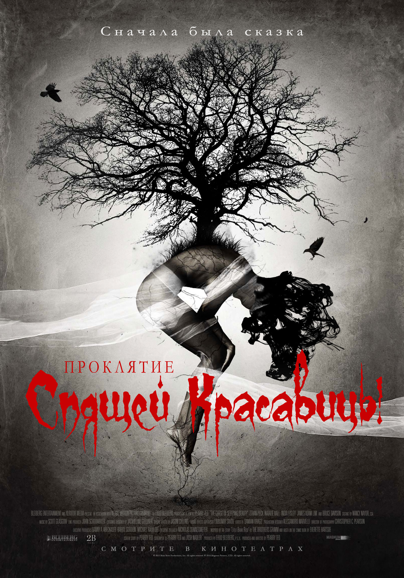 Постер - Проклятие Спящей красавицы: 1400x2000 / 746.25 Кб