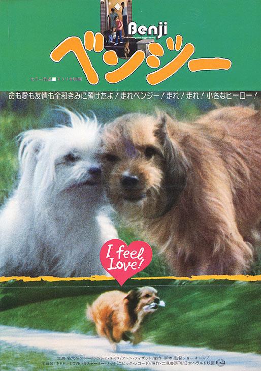 Постер - Бенджи: 514x730 / 78.66 Кб