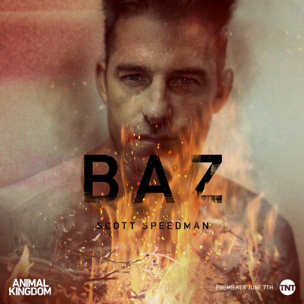 Постер - По волчьим законам: 600x600 / 71.69 Кб